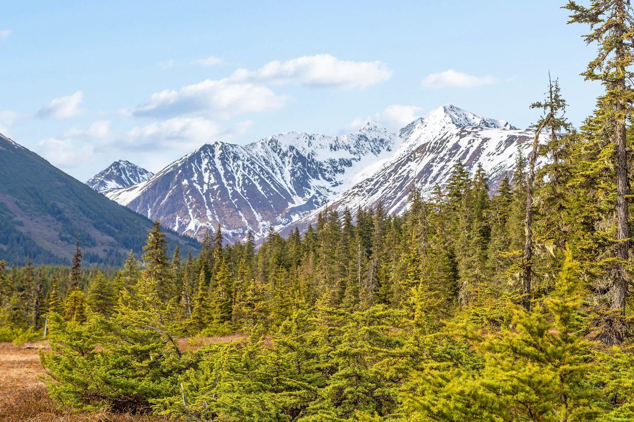 Snowbird Chalet #5 Гирдвуд Экстерьер фото